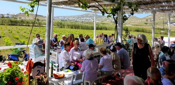 Mykonos Wine Tour And Panorama 4 Hours